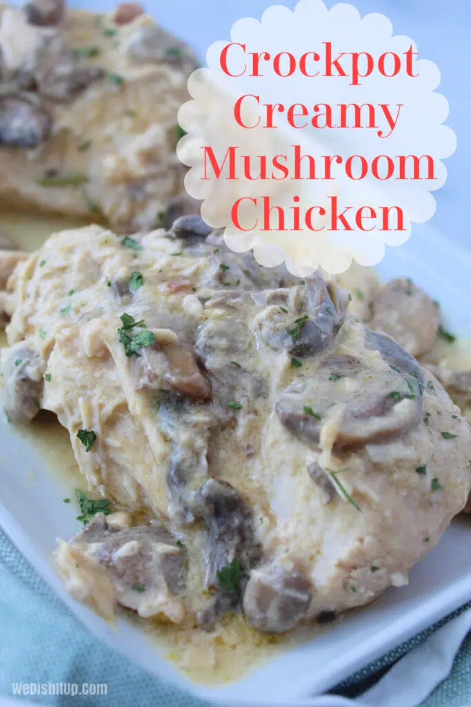 Creamy chicken and mushrooms on plate