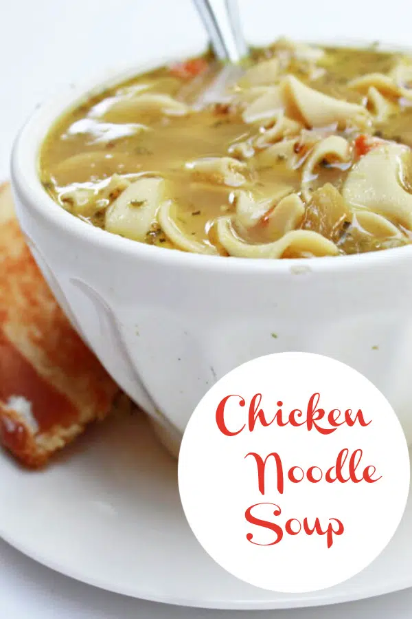 Chicken Noodle Farm