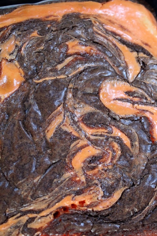 Brownie Swirl 