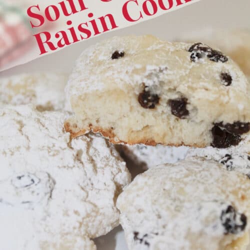 Grandma’s Sour Cream Raisin Cookies We Dish It Up