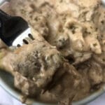 Stroganoff With Fork