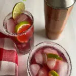 Blackberry Rita and Shaker