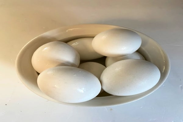 Boiled Eggs