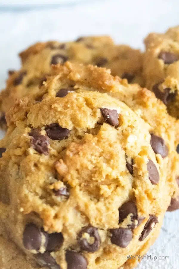 Pumpkin Chocolate Chip Cookies