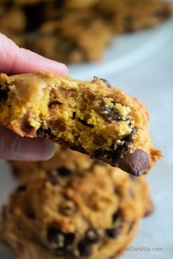 Soft Pumpkin Cookies