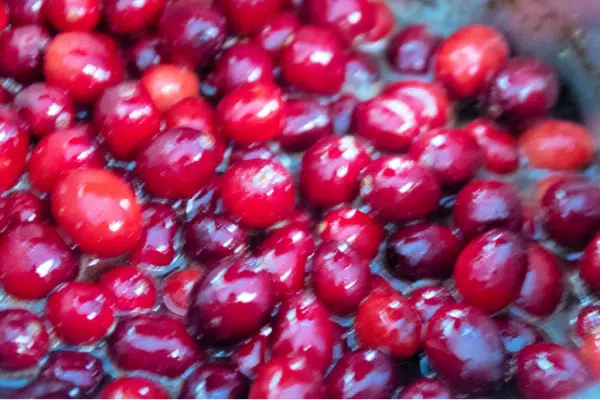 Cranberries Cookies 