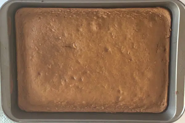 Cake Fresh out of the oven