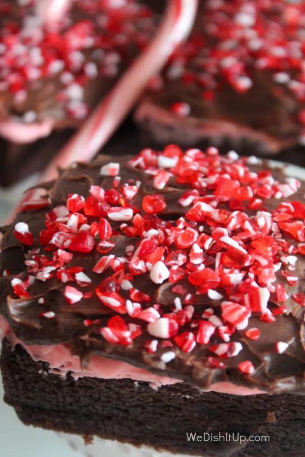 Peppermint Fudge Brownie 