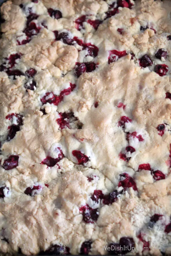 The Best Cranberry Christmas Cake