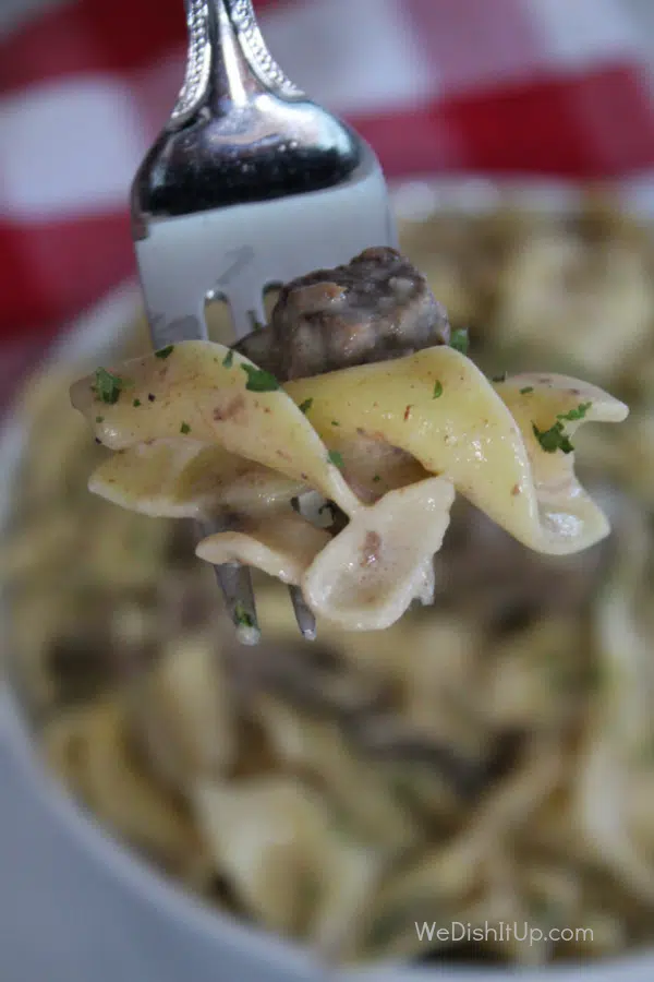 Stroganoff on Fork