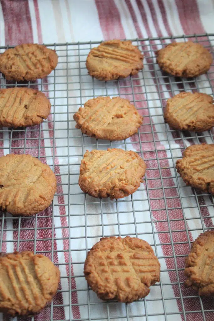 Low carb Peanut Butter Cookies
