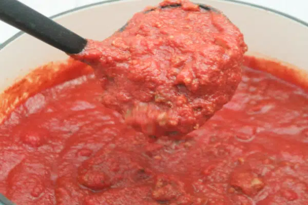 Quick and Easy Homemade meat sauce