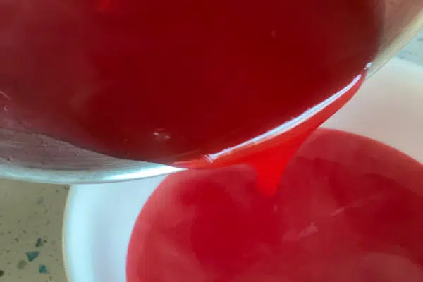 Strawberry Gel