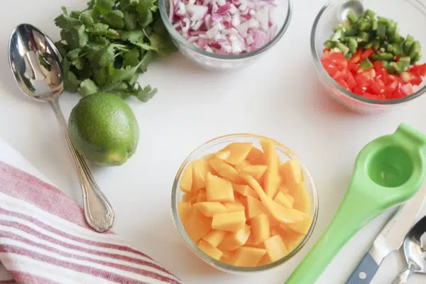 Ingredients for Salsa 