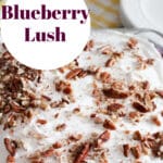 Blueberry Lush