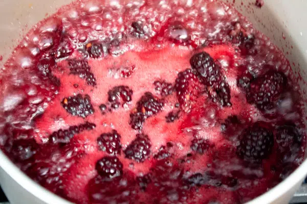 Boiling Blackberries