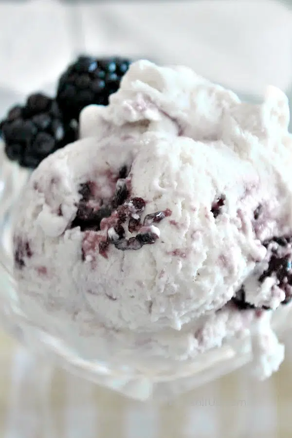 No-Churn Blackberry Ice Cream