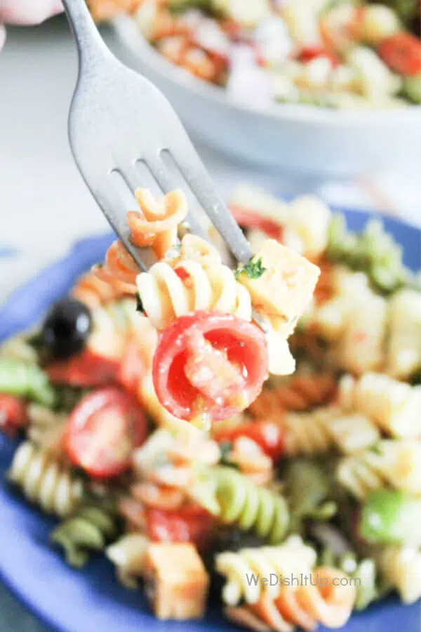 Pasta salad on fork 