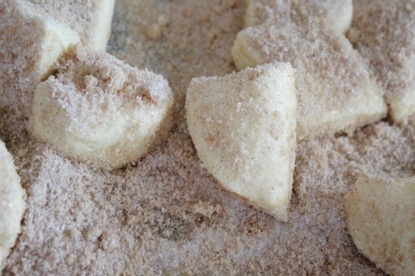 Biscuits in Cinnamon Sugar 