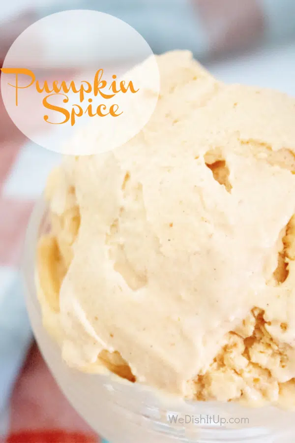 Pumpkin Spice Ice Cream