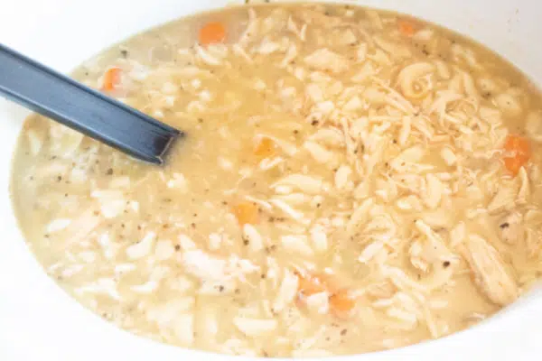 Turkey Noodle Soup