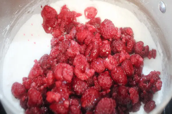 Raspberry Topping in process