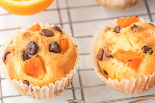 Orange Chocolate Chip Muffins