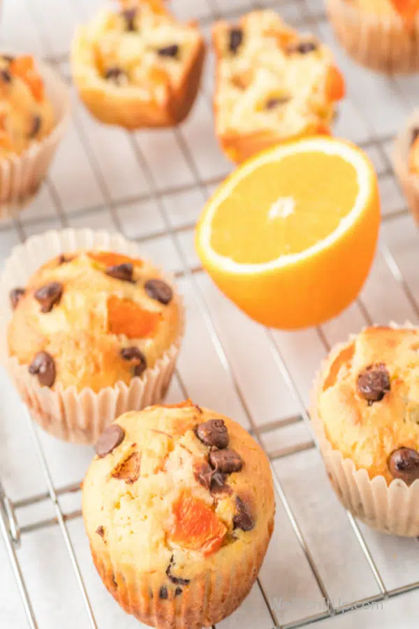 Orange Chocolate Chip Muffins