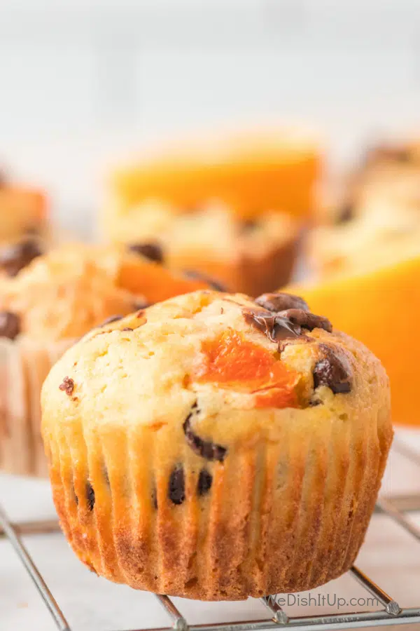 Orange Chocolate Chip Breakfast Muffin