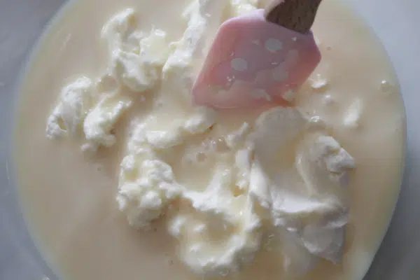 Cream Cheese and Condensed Milk